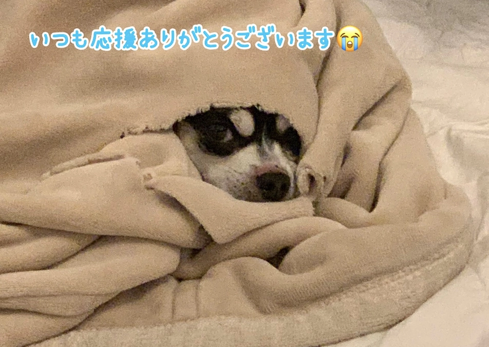 本日も代理支援にて温かいご支援を頂きました‼︎