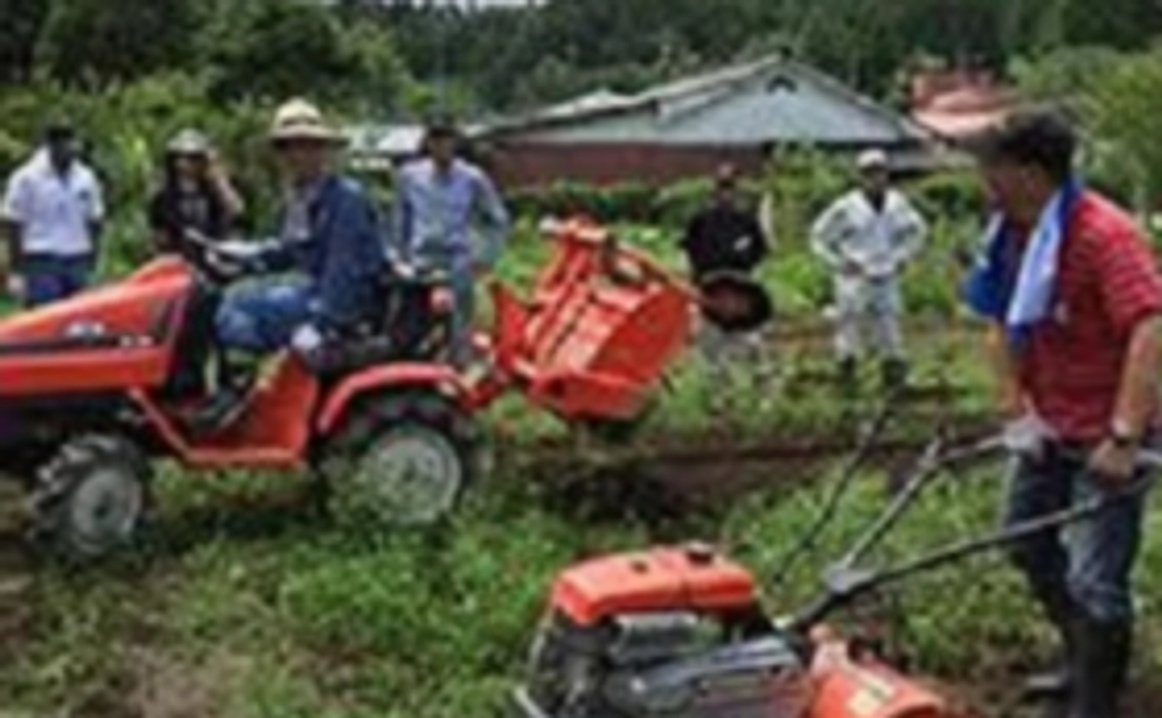 無肥料・無農薬の自然栽培農法の収穫報告書