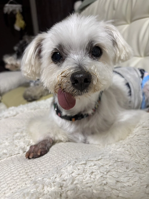 2025.4月　活動報告*