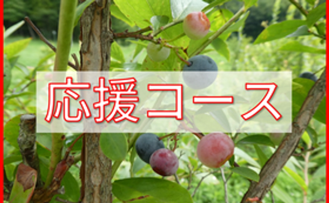 3,000円｜応援コース