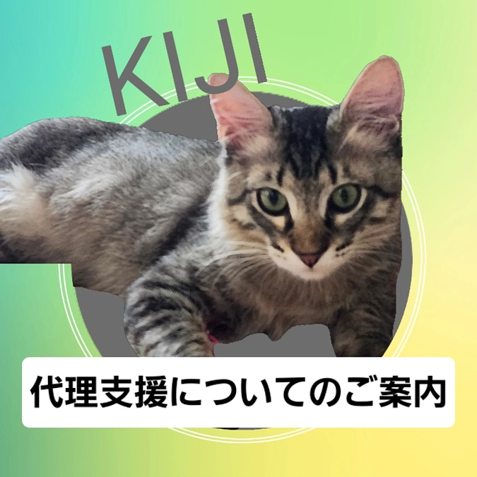 〜代理支援について〜