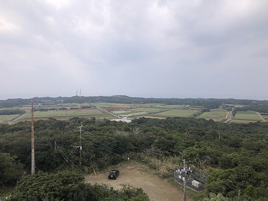 沖永良部島でのサシバ