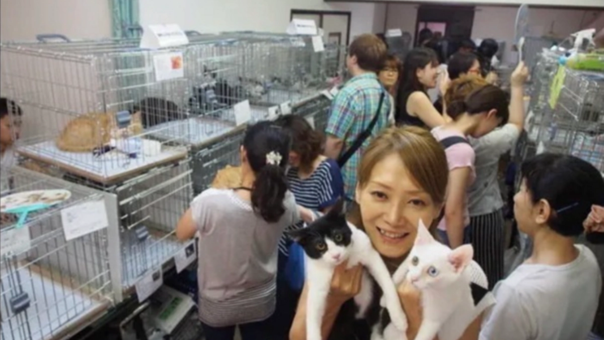 NPO法人ねこけん代表理事  溝上奈緒子様  より応援メッセージをいただいております！