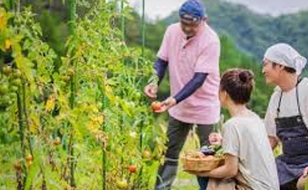 設立後の農業体験及び子供食堂にご招待