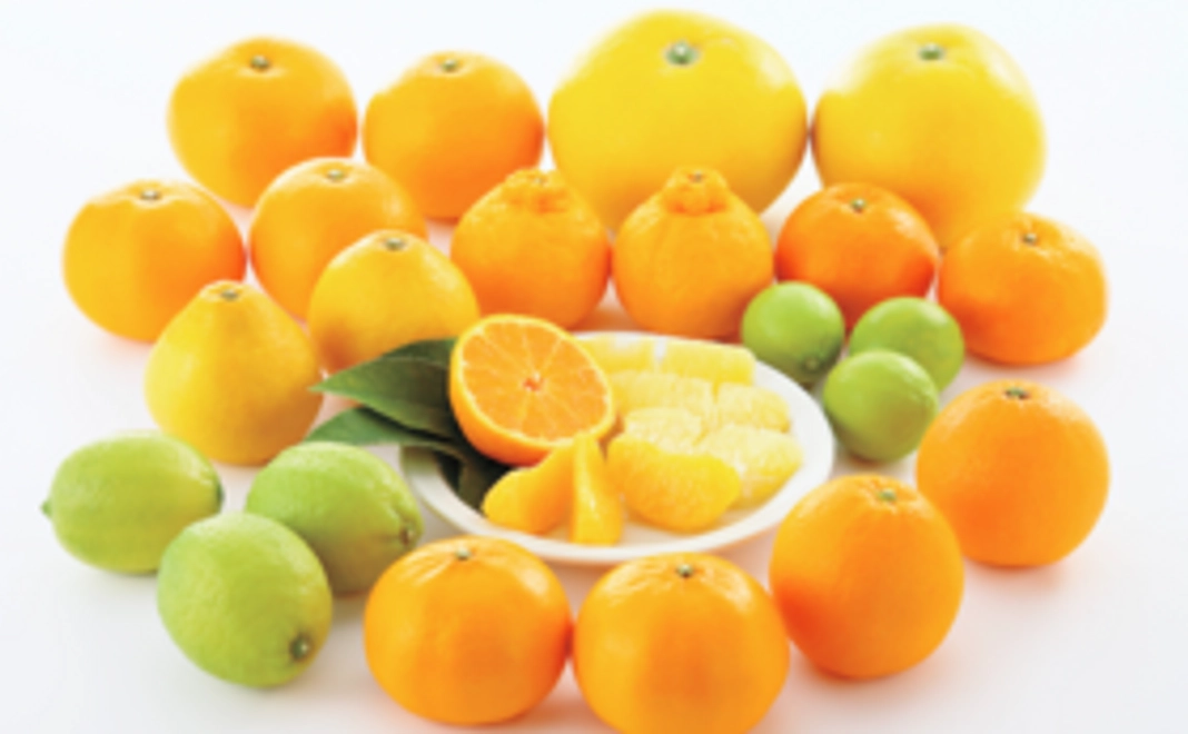 【青いレモンの島いわぎ】柑橘類の詰合せと加工品