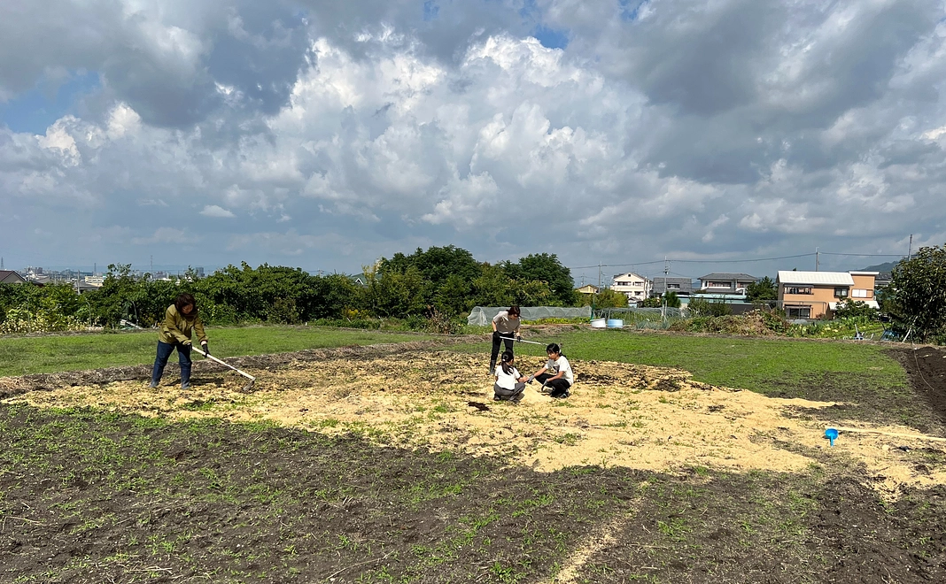 感謝のメール・マイクロバイオーム農法のご検証報告・家庭菜園で使える新農法報告