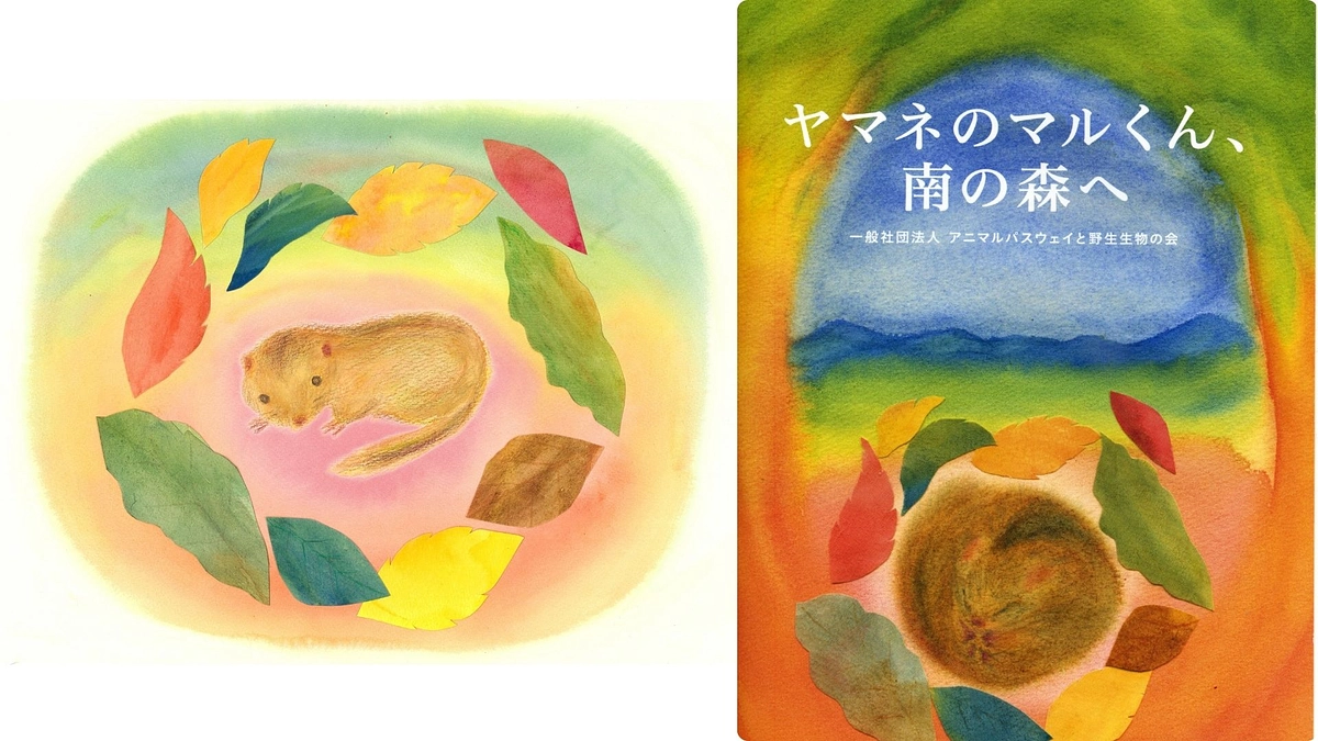 🌳ヤマネたちが橋を渡るとき──絵本と森の”いま”