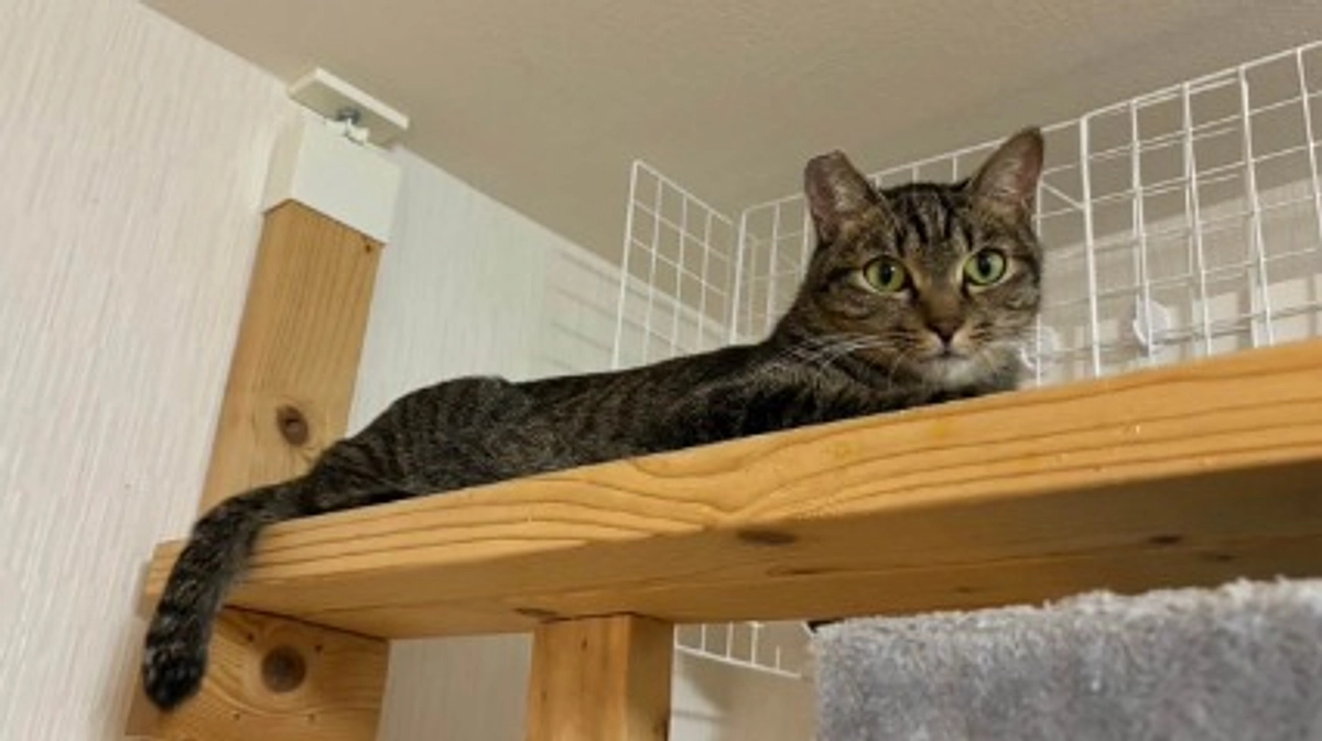 あたたかい人たちに囲まれて３０万円達成しました！！