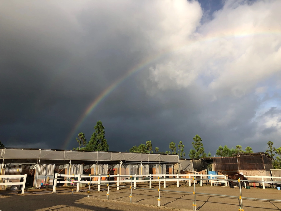 NPO法人アヴニールファームってどんな事業をしているの？