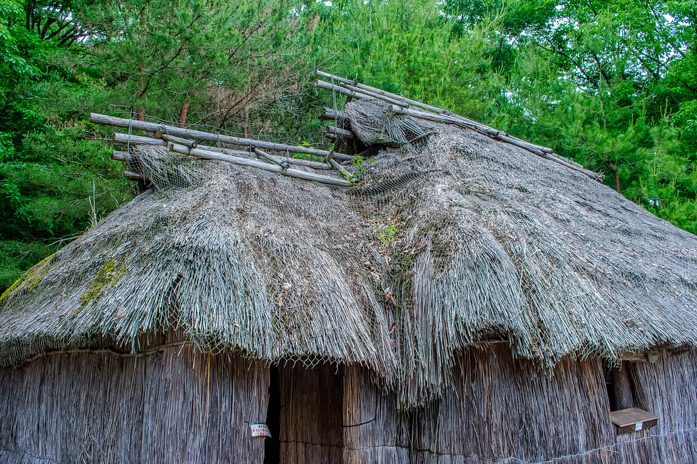 野外民族博物館リトルワールドで実施中のクラウドファンディングのお知らせ