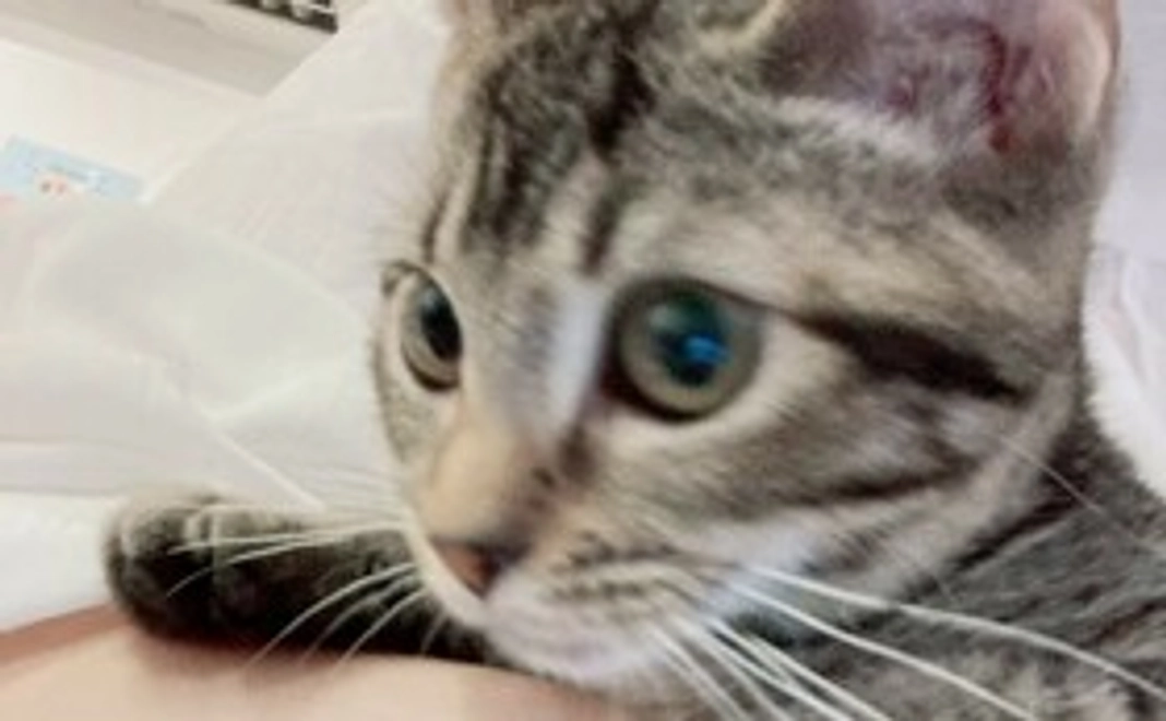 【5,000円】お気持ちコース