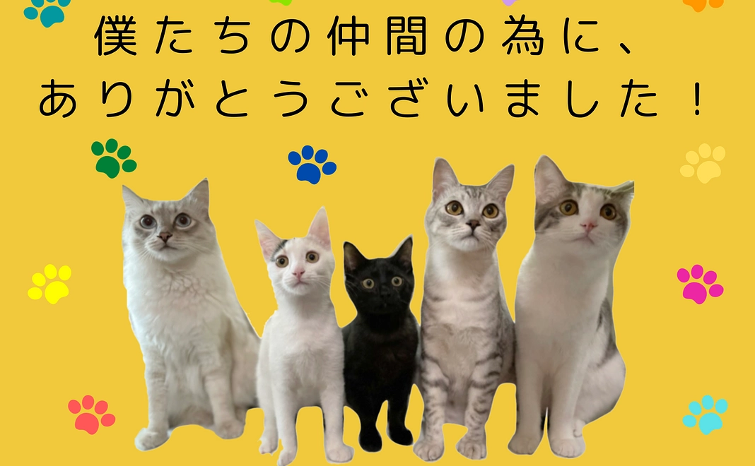 お礼のメッセージ