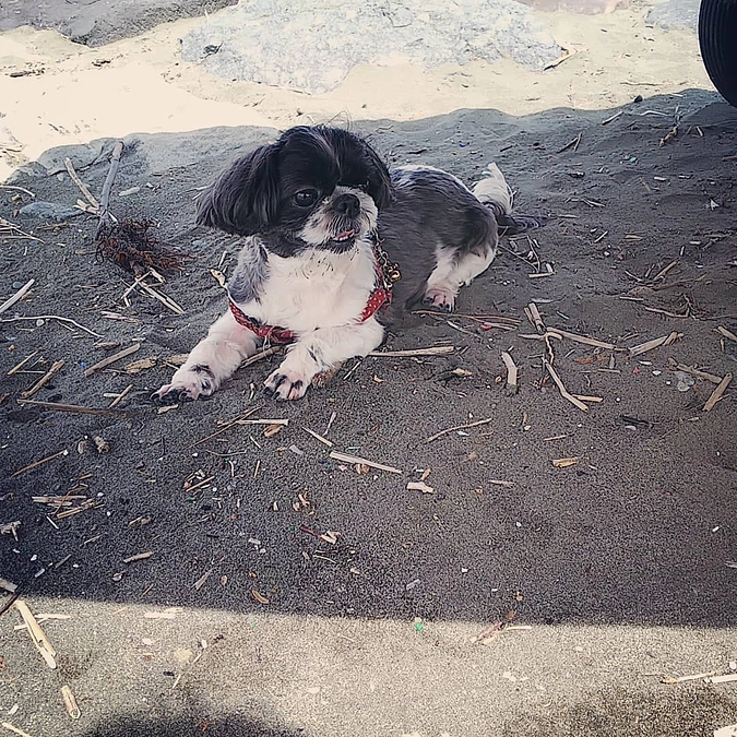 本日も大変たくさんの方から支援を頂きました。