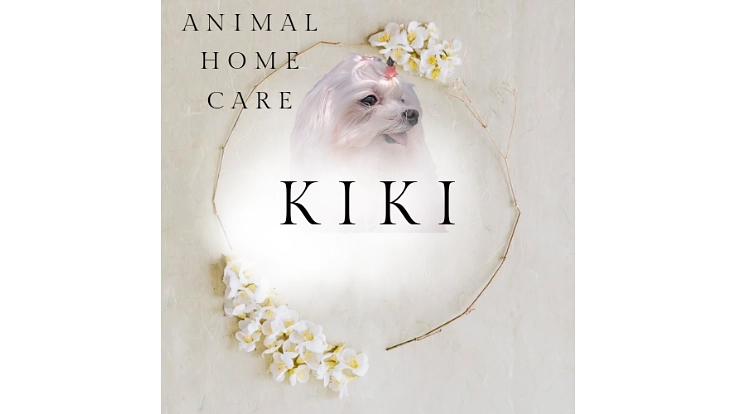 介護シニア専門のトリミングサロン　予約枠拡大のため内装工事費 5枚目