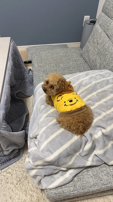 残り4日後30万不足しています。