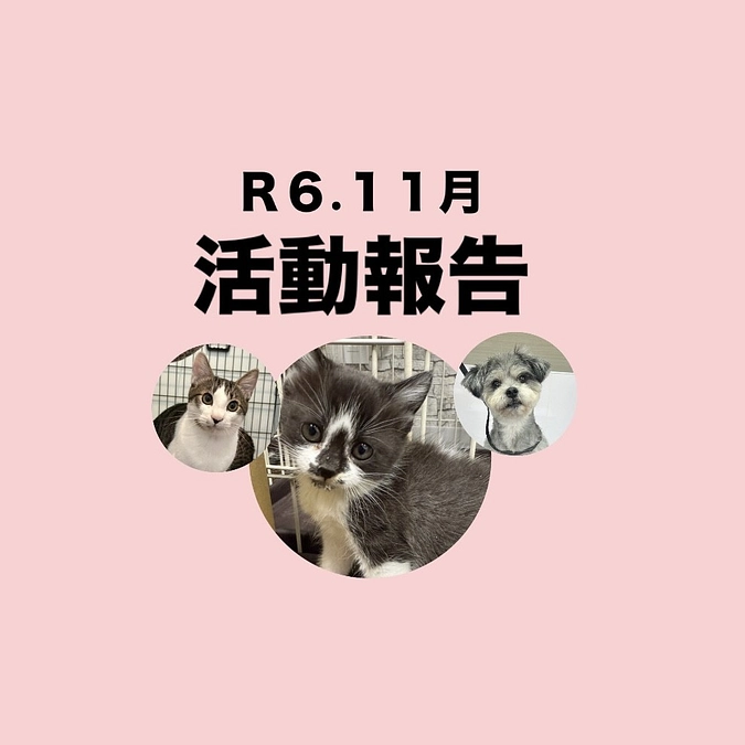 R６．１１月活動報告