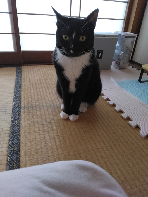 6/9はなちゃんの様子