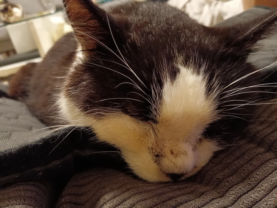 腫瘍外来でしたが、、