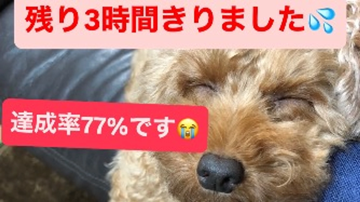 3時間切りました😭🙏
