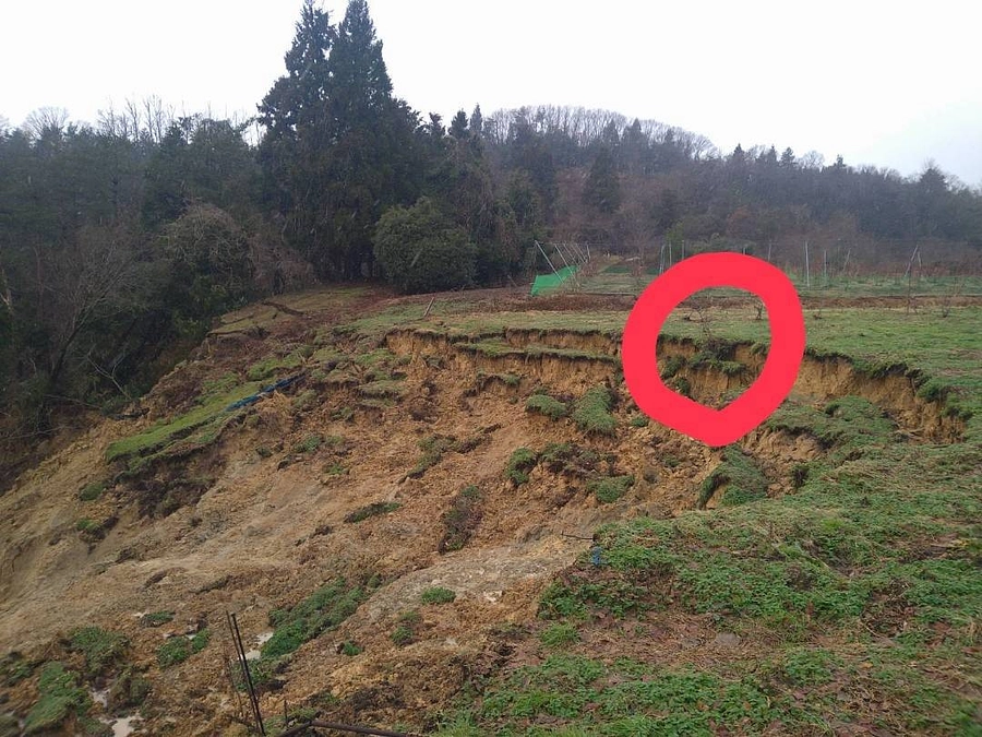 畑の経過と復旧作業のご報告