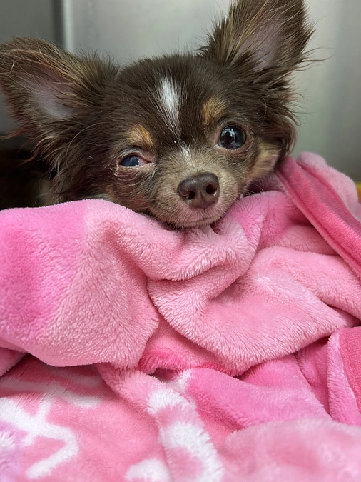 そして手術から1週間がたち