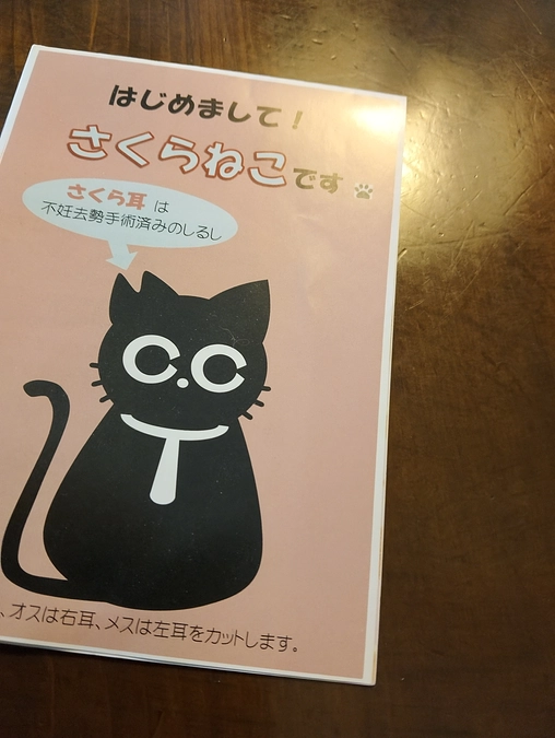たつの市城下町の地域猫活動