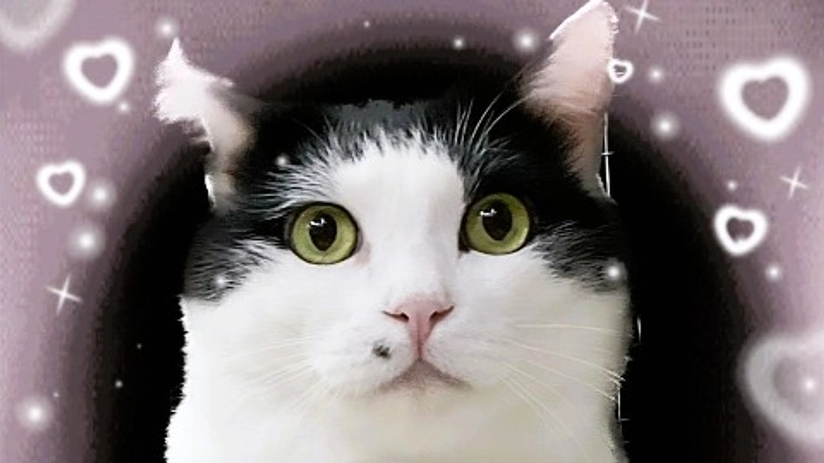 ホームページが新しくなりました！