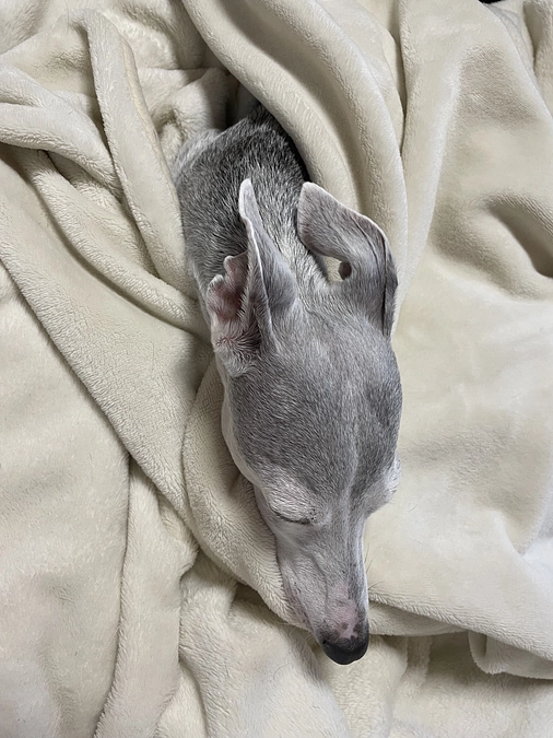 残り5時間⏳💦達成率73%😥