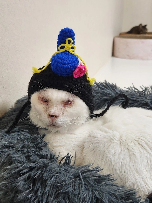 インスタLIVEのお知らせ