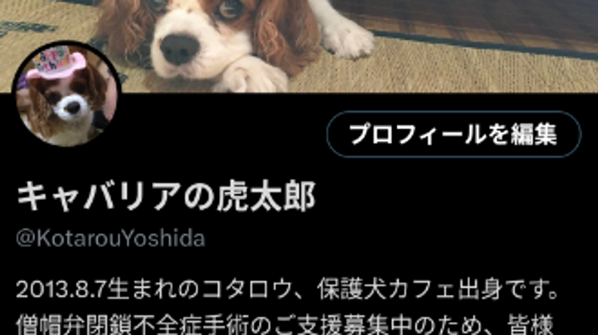 各SNSの特徴について