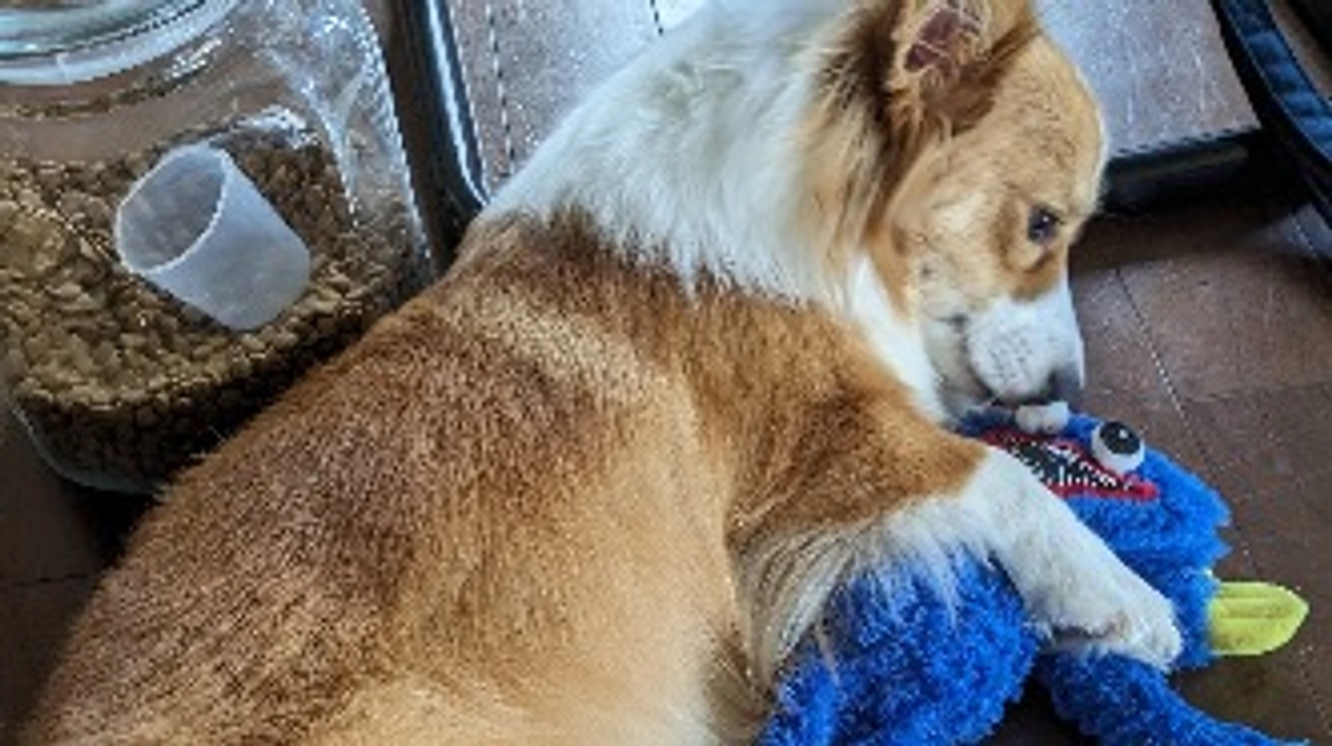 手術成功しました😭✨