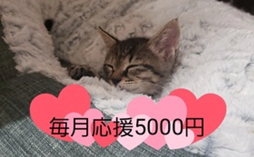 毎月応援5000円コース
