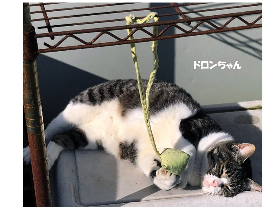 【ご支援の際にいただいたメッセージをご紹介します①】