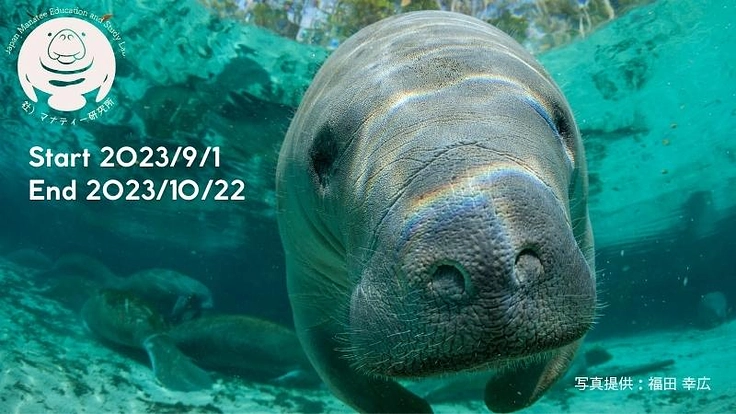 目指すは共存できる未来｜アフリカマナティー保全プロジェクト 2枚目