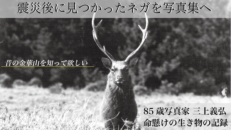 津波に流されたはずのネガが見つかった。かつての金華山の鹿がすごい!