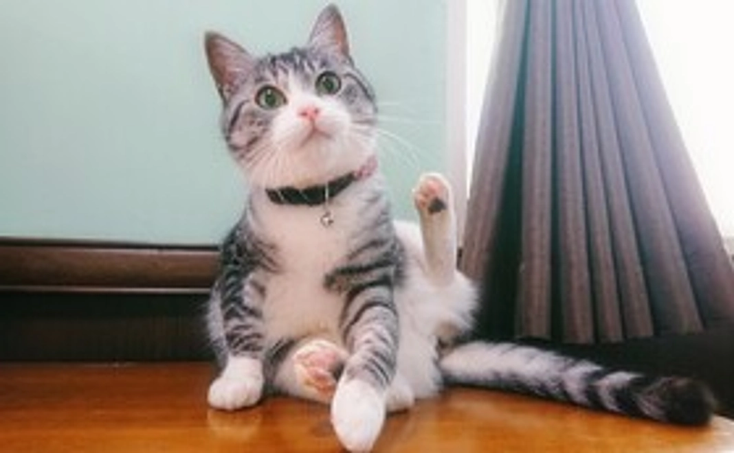 感謝のメールコース  3,000円