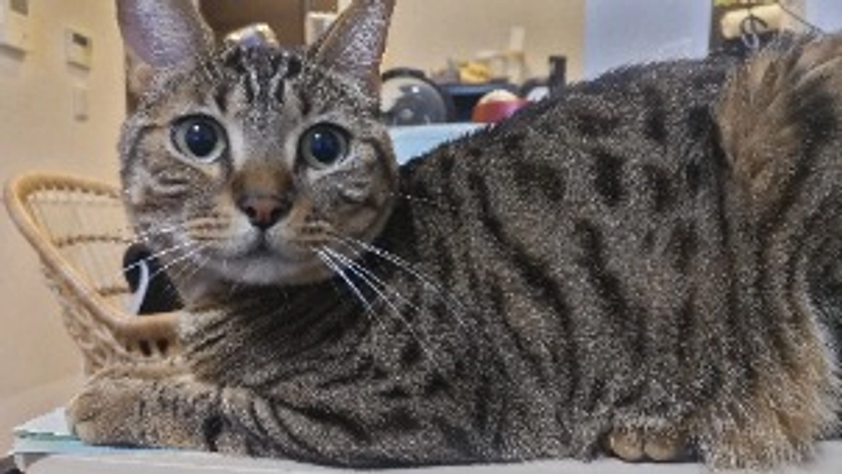 残りあと４日　　達成率30％を超えました！　