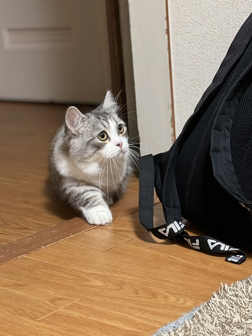 治療34日目のココロ