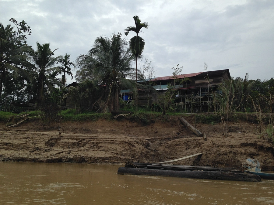 サラワク産熱帯材合板と日本の建設市場