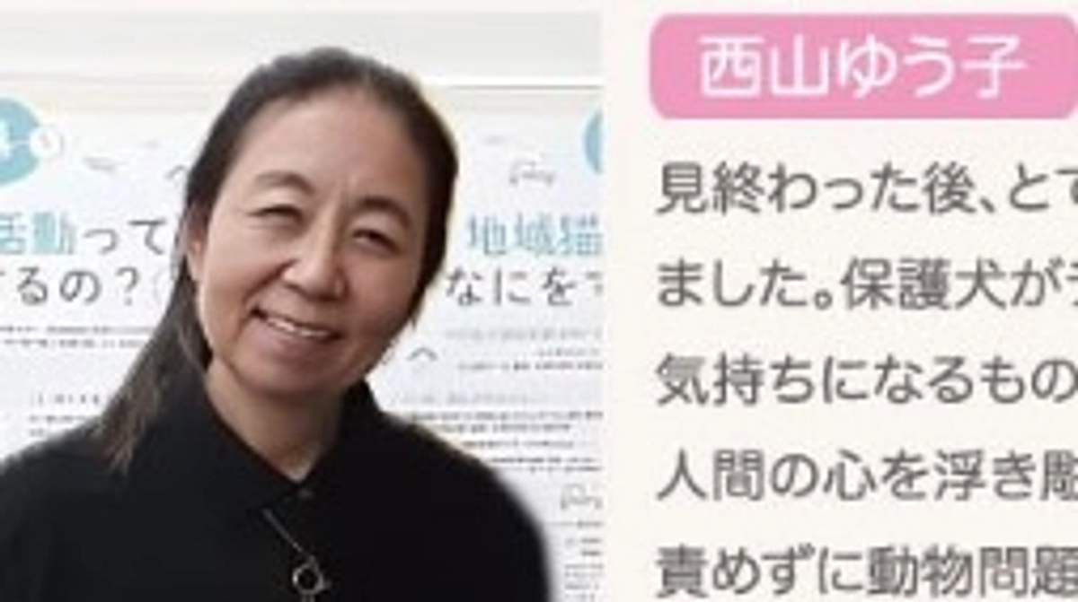 【ちょっと苦戦中】西山ゆう子先生から素敵なコメントをもらいました！