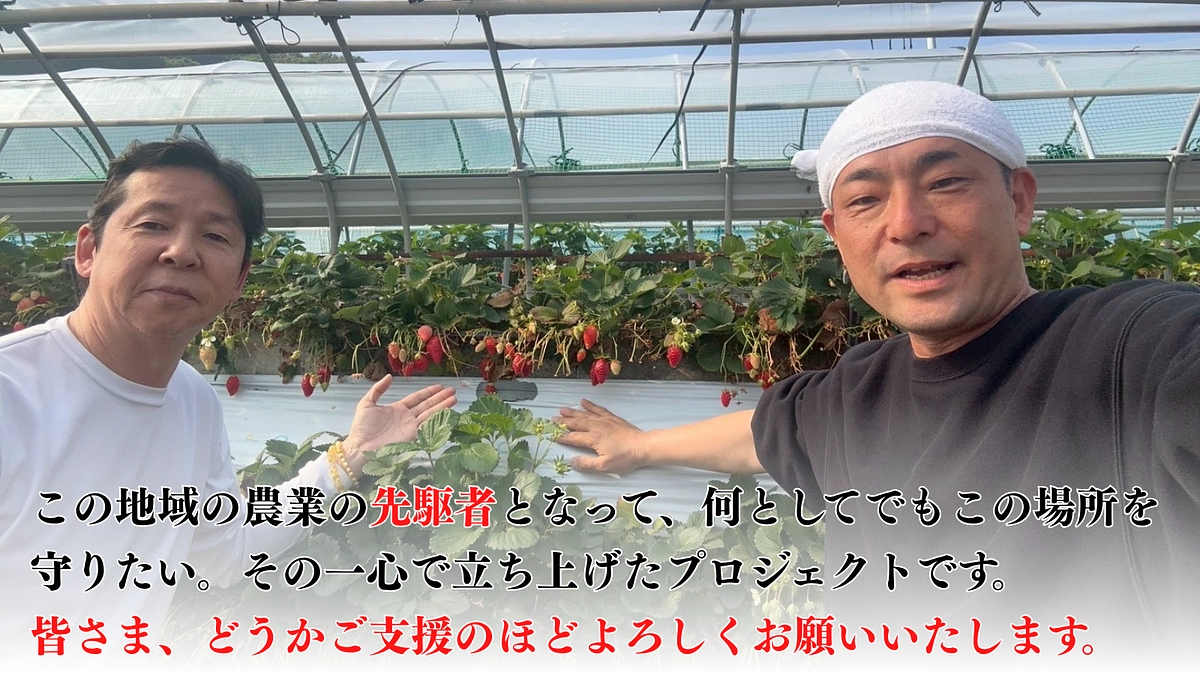 【残り4日】久能石垣イチゴ栽培を次世代へ繋ぐために、皆様の温かいご支援をお願いいたします。