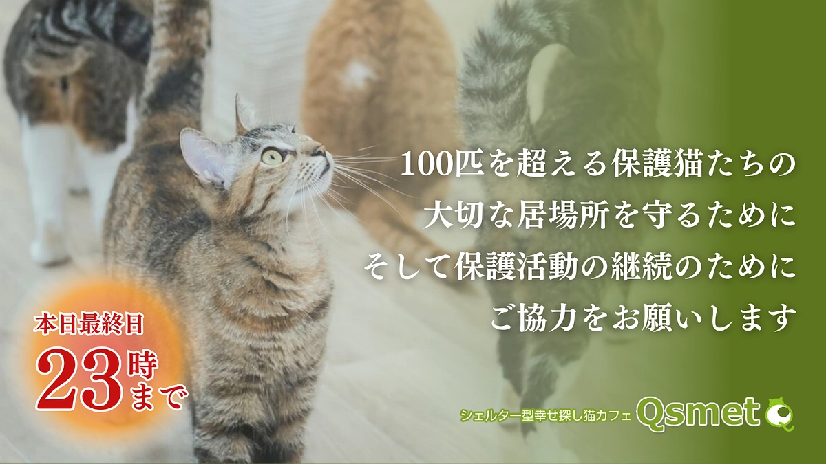 カウントダウン最終日！支援募集は本日23時まで！