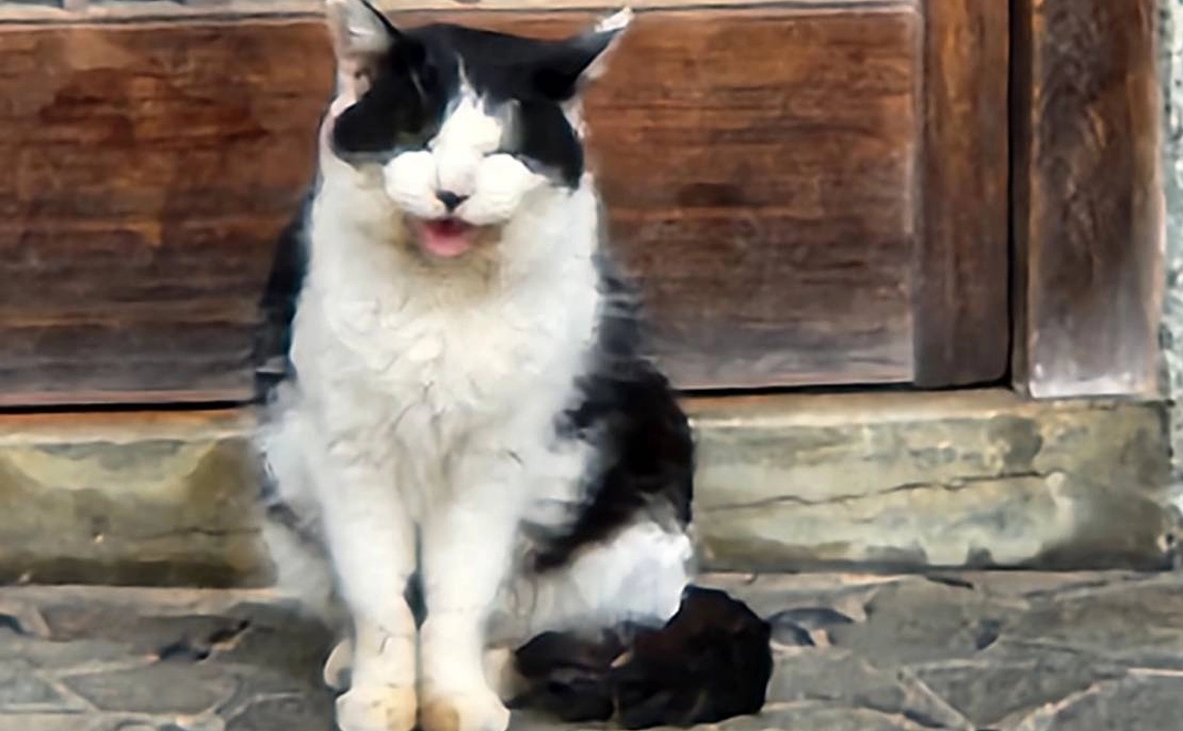 マリアちゃん応援　1,000円