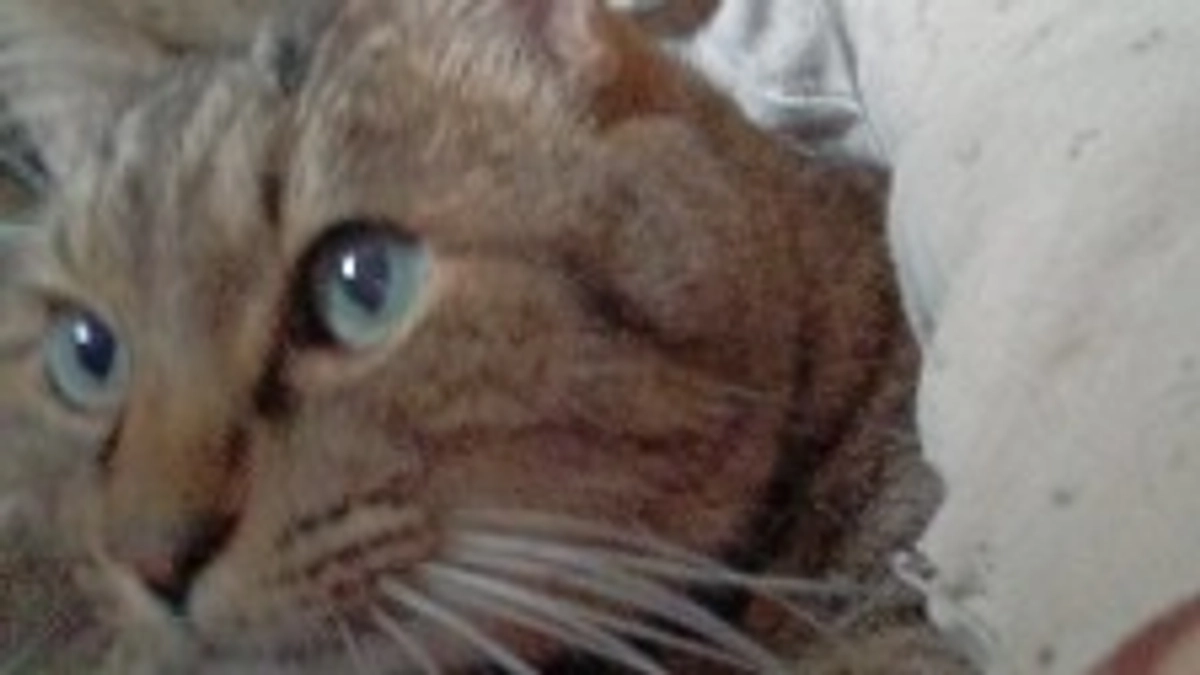 30％達成できました。