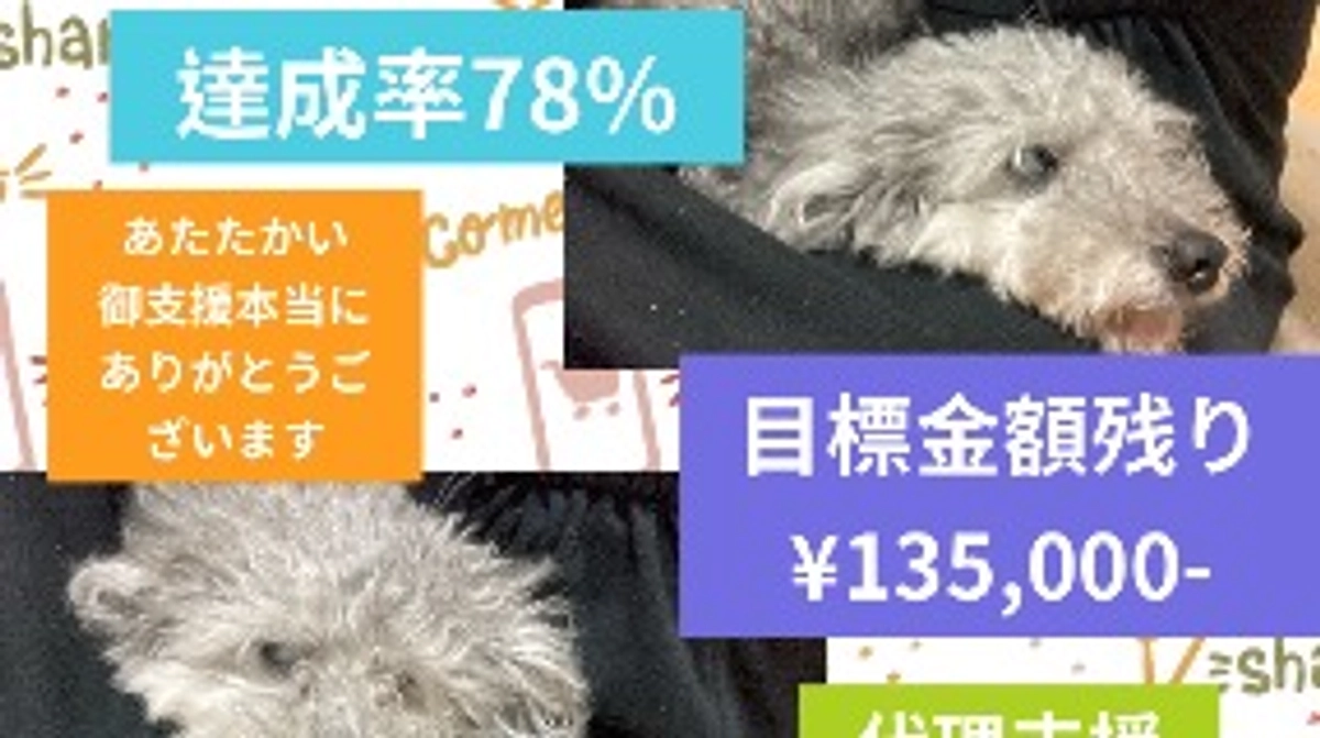 残り時間2時間です