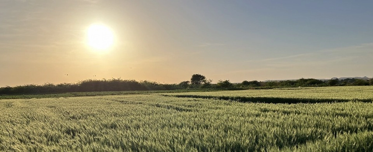 あと、一週間です。