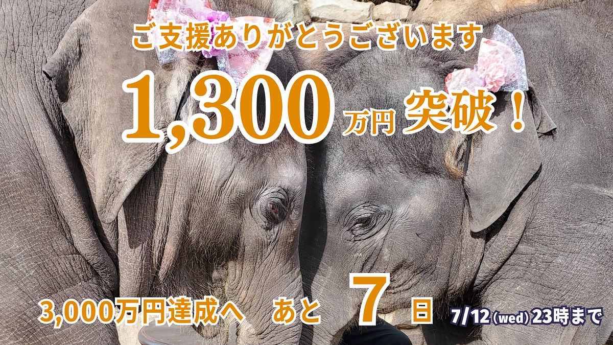1300万円超えました☆ありがとうございます！