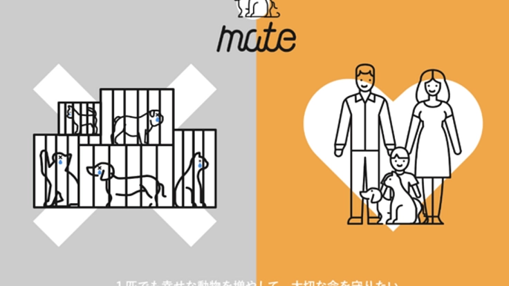 動物愛護団体を資金面でサポートできるサービスをつくりたい！