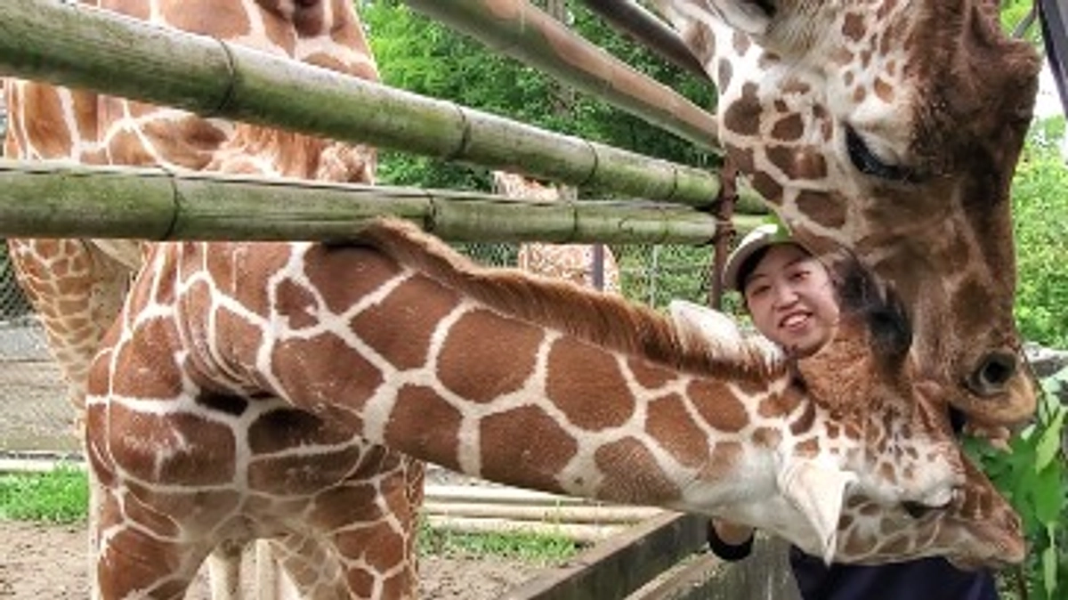 スタッフからのメッセージ☆最終日まであと4日☆