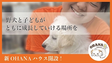 神栖から収容犬をゼロに。野犬と子どもがともに成長する居場所の開設へ のトップ画像